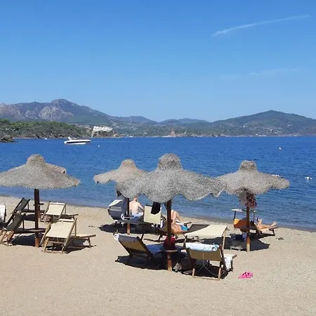 Lejlighed Casa Deni - Argonautivacanze Capoliveri (Isola d'Elba)